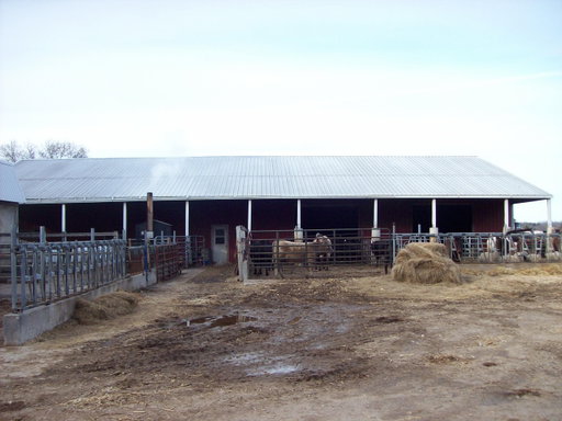 Media Image 3