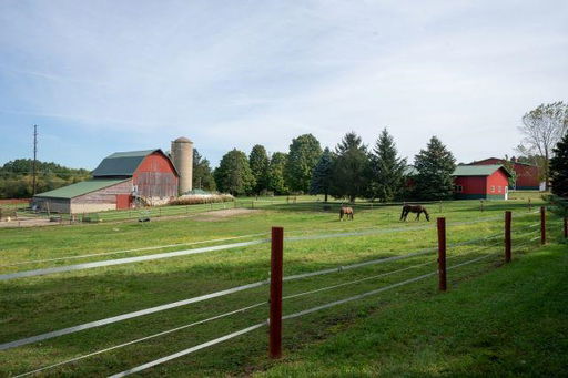 Media Image 3