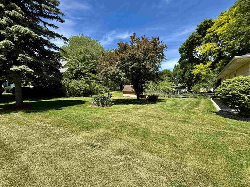 Media Image 3