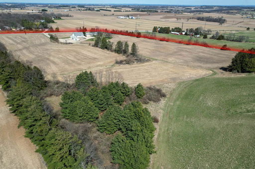Media Image 3