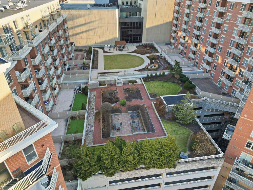 Media Image 1