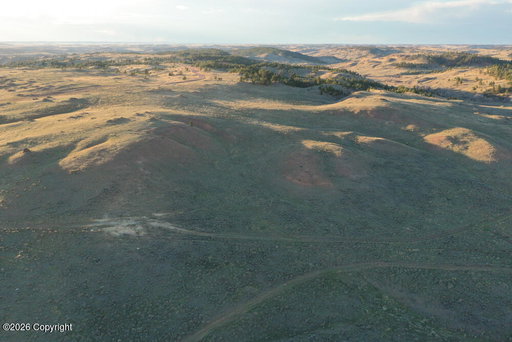 Media Image 2