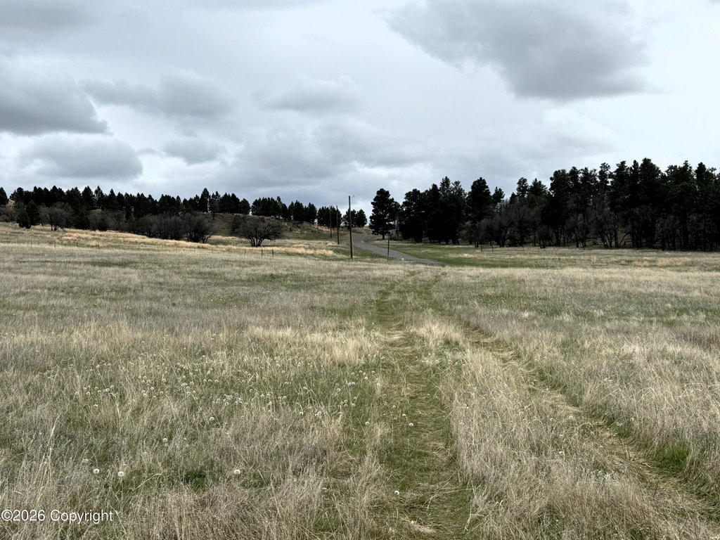 Image Unavailable