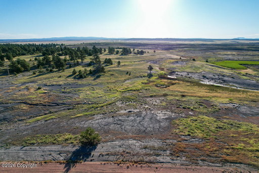 Media Image 2