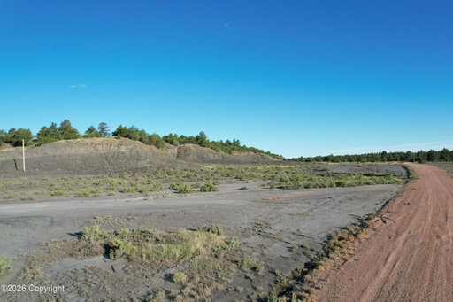 Media Image 2