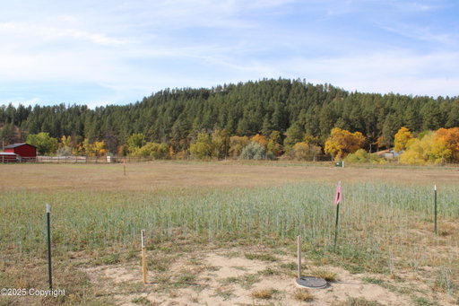Media Image 2